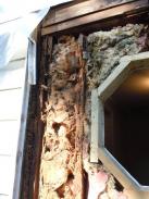 Removing unsafe wood framing and insulation from old addition