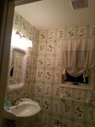 This powder room was sorely in need of a make over